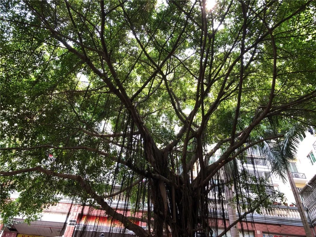 厦门10元店小商品最全批发市场,厦门最大的一级批发市场