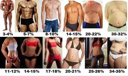 8分钟床上瘦腰减腹练出马甲线,最简单有效减腹练马甲线动作