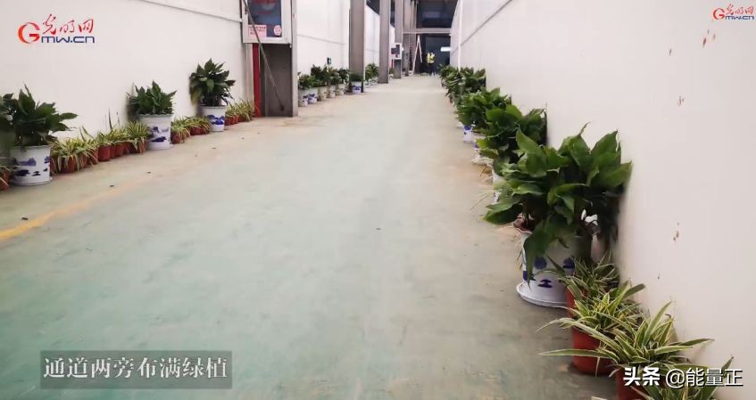 肺炎治疗天价曝光,新冠肺炎天价治疗费曝光