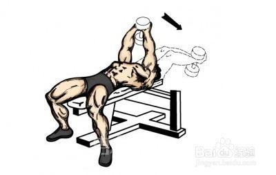 健身爱好者口中的鲨鱼线,鲨鱼线的正确锻炼方法