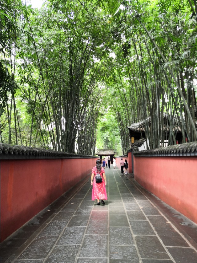 爱国爱家爱中华,爱国爱家爱红旗