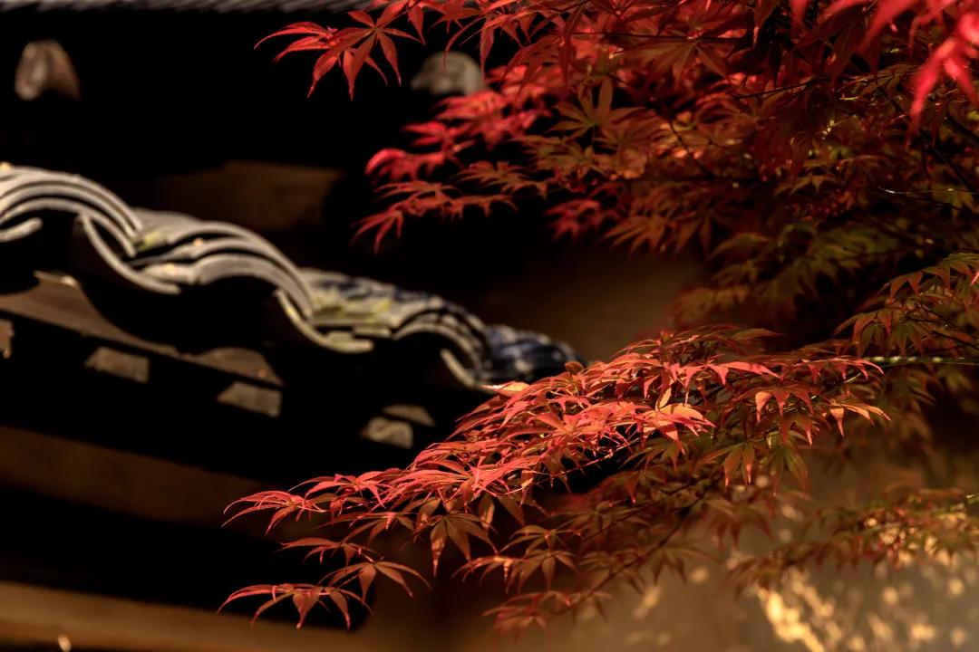 妗愪埂鍚堟偊姹熷崡骞哥鐢熸椿,妗愪埂鍚堟偊姹熷崡鏃呮父鏀荤暐