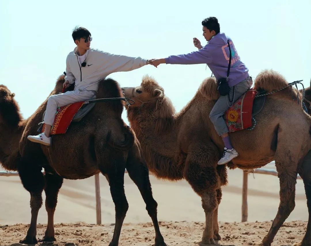 亲爱的客栈3沙漠取景,亲爱的客栈3拍摄地方