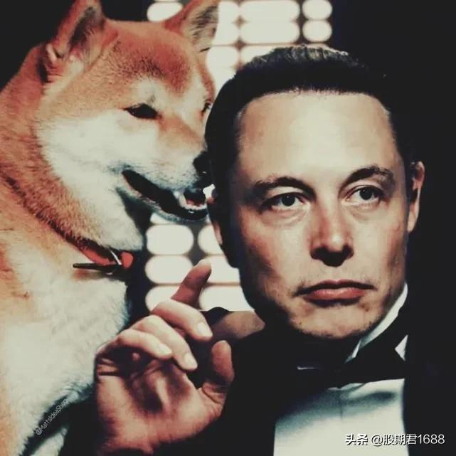 币圈新手炒股入门教程,币圈真正成功人士炒币方法