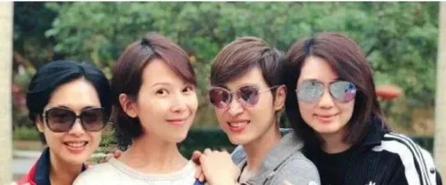 洪欣陈法蓉最近消息,洪欣陈法蓉合体综艺