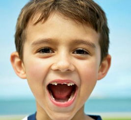 小孩不小心牙齿掉会重新长吗,小孩子牙齿摔掉了装牙齿要多少钱