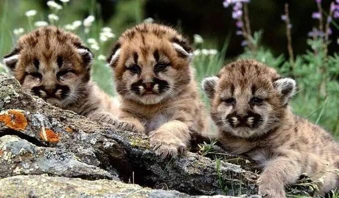 上海旅游攻略必去景点大全,上海玩耍景点推荐