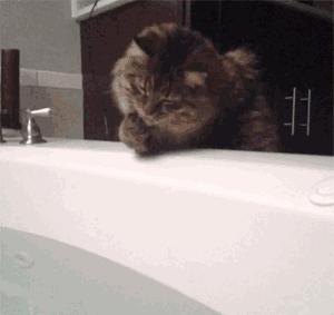 couldn'tconnecttohost