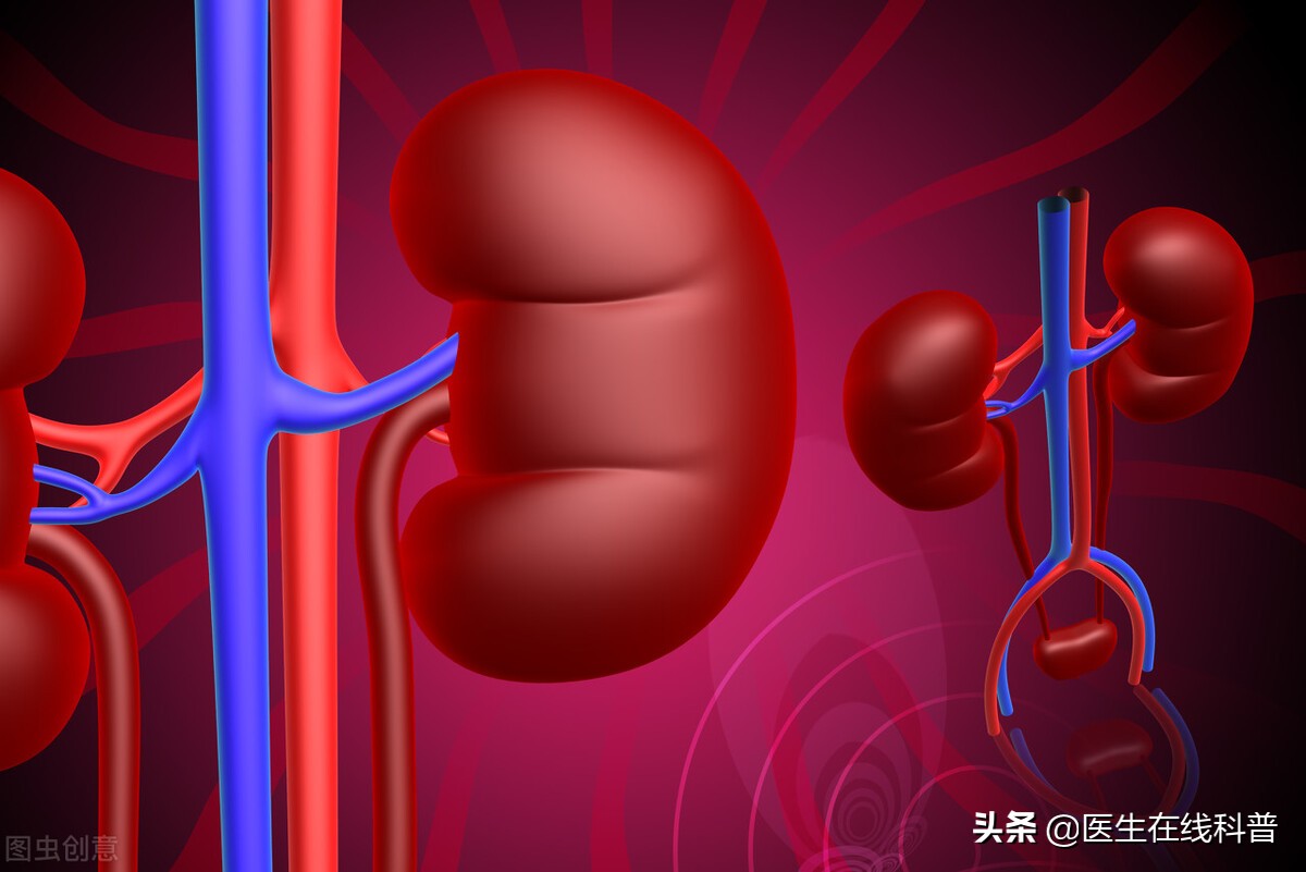 肾衰竭治疗日记,肾衰竭尿毒症经历