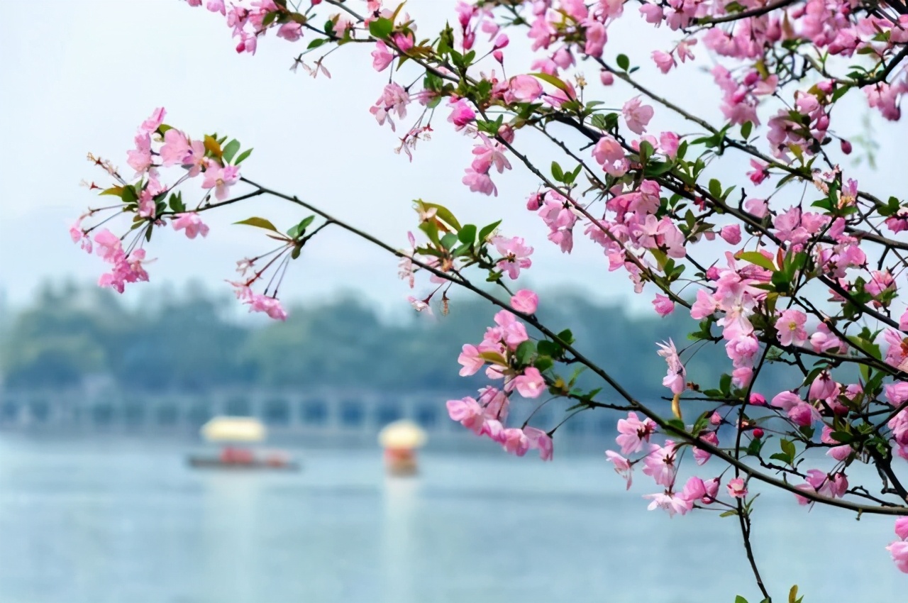 彼此嫌弃互相治愈,相互嫌弃相互治愈