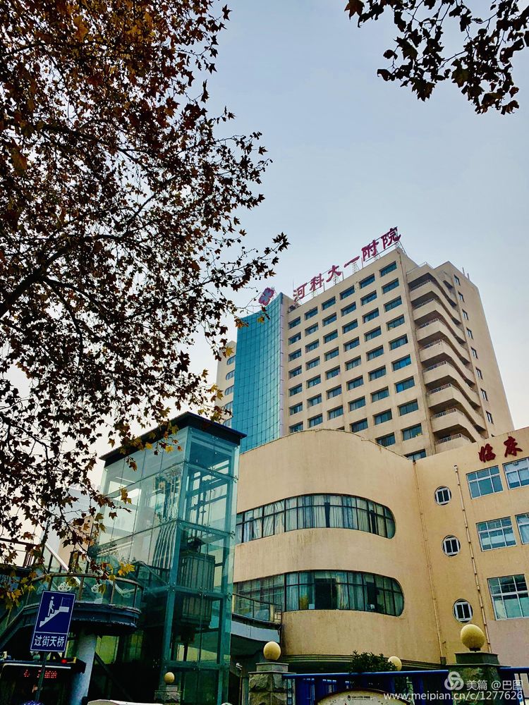 涧西牡丹广场老照片,洛阳牡丹手机拍照