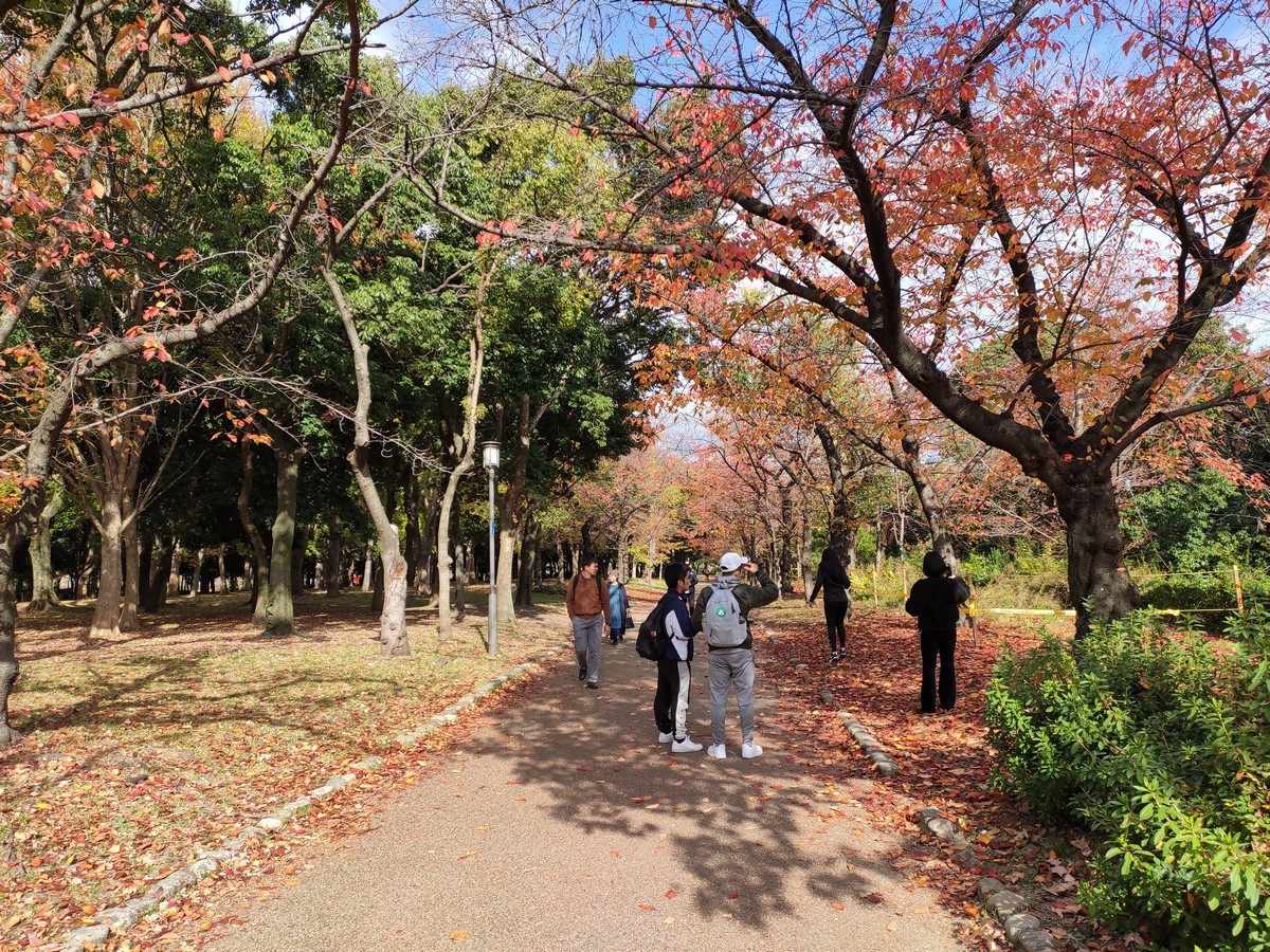 日本大阪马拉松,日本大阪马拉松赛道难度