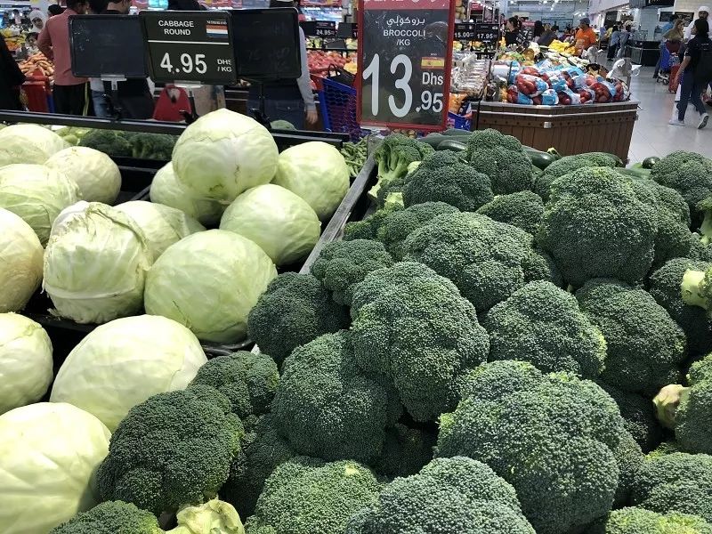 在迪拜怎么降低生活成本,迪拜一周生活成本多少钱