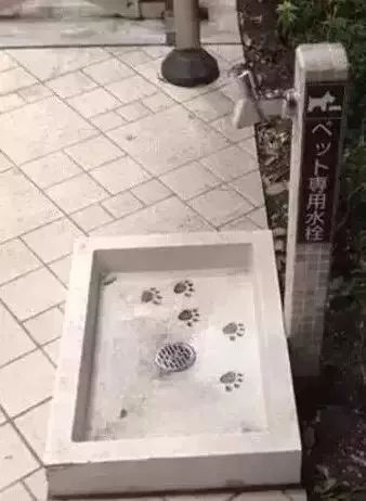 日本商场的待客服务,日本商场服务态度排名第一