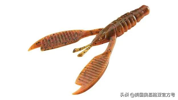 全国渔具展会2024时间表,全国渔具展2024