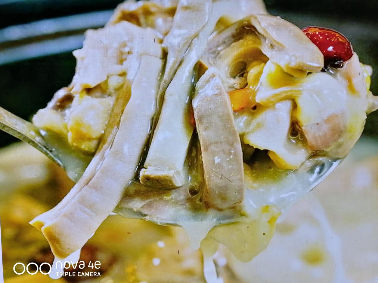 南国景色不曾秋,四时风光长如春,二)——广东行随笔之珠海篇