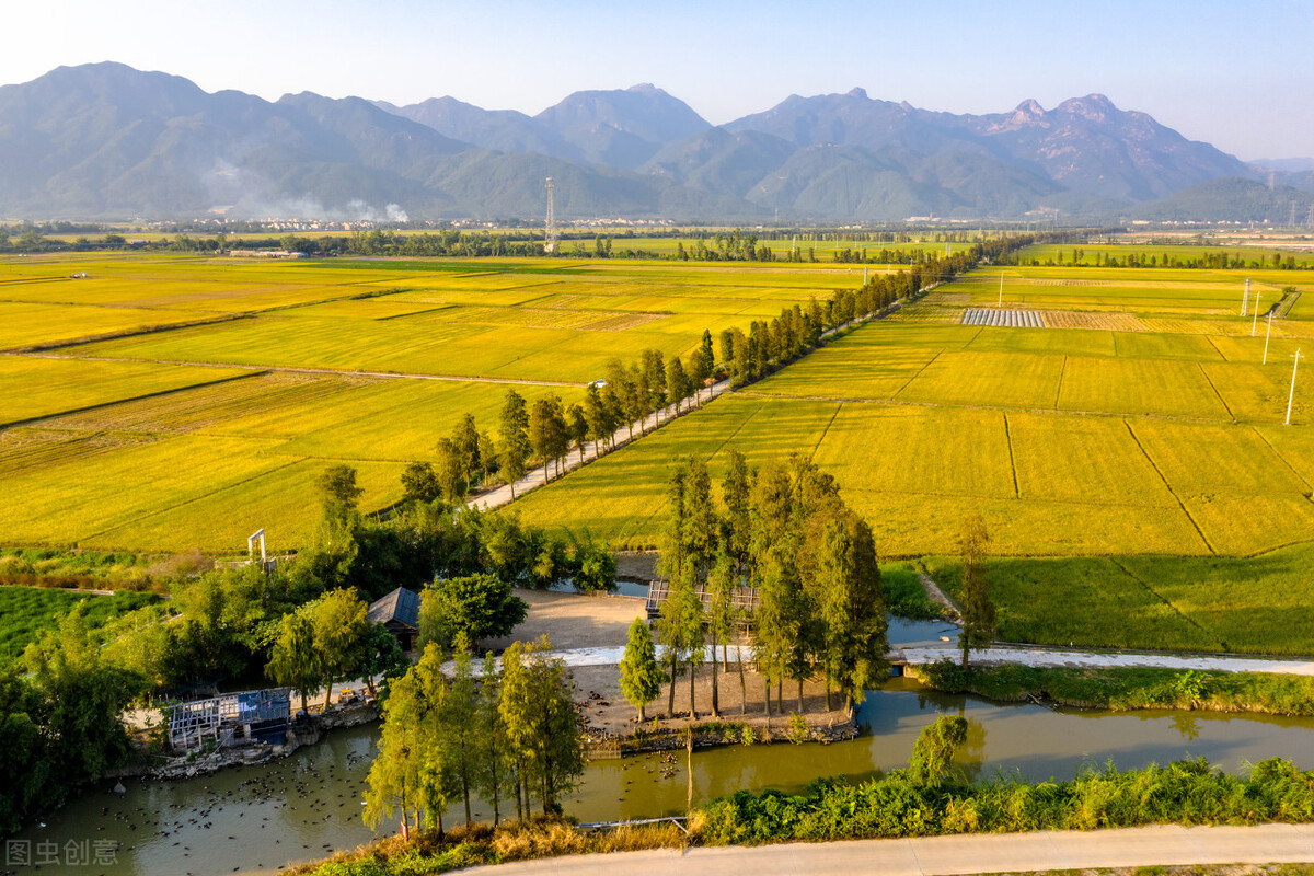 江门新会区,江门经济排名