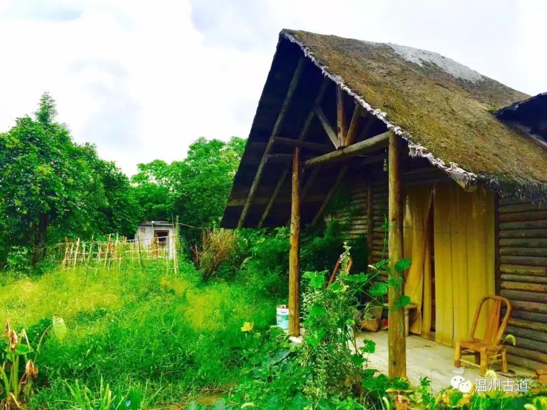 千年古村平阳县鸣山村古城夜景,平阳昆阳鸣山古村落