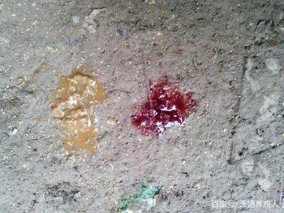 鸡球虫拉血便怎样止血,鸡拉血是什么原因用什么药