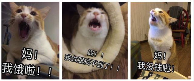 好用适合送给妈妈的化妆品,给妈妈买什么化妆品比较好