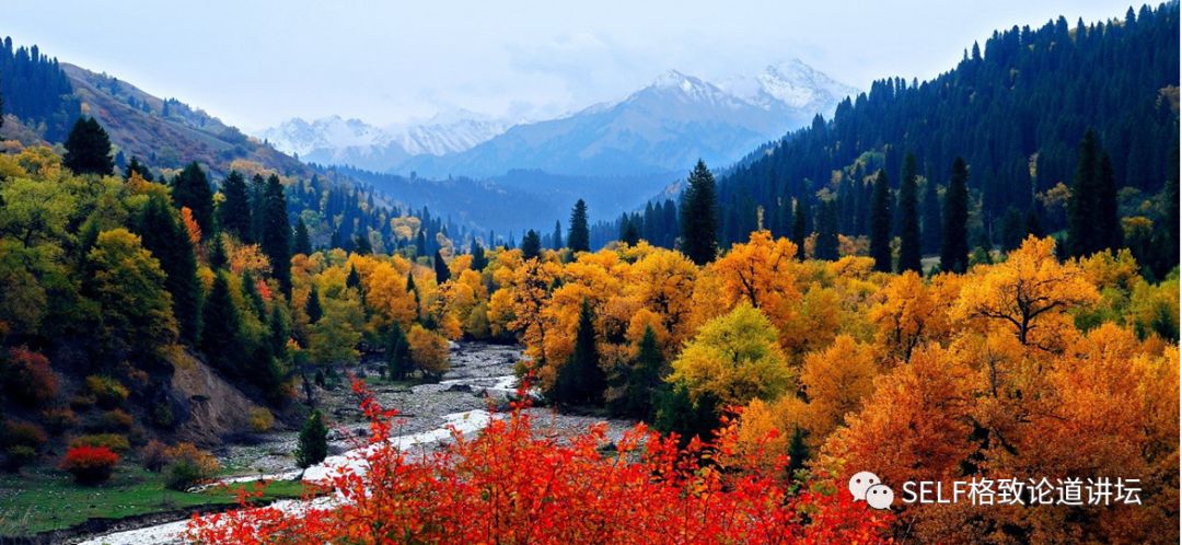 新疆天山世界文化遗产,天山为什么被入选为世界自然遗产