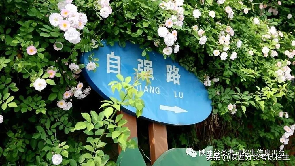 两汉三国，真美汉中|汉中职业技术学院