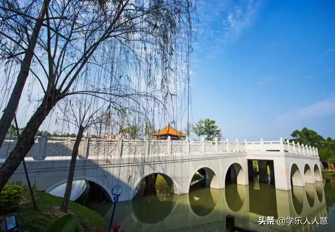 广州外国语学校官网,广州外国语学校高中部