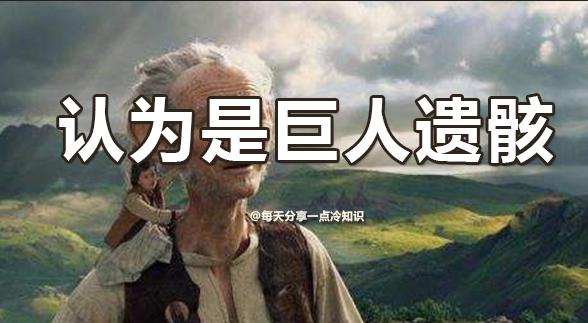 恐龙的11个惊人真相,关于恐龙4个令人难以置信的发现