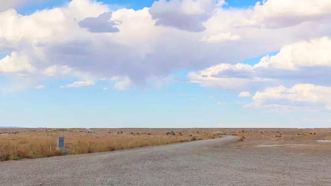 突然全员被召回,三无产品召回要发召回公告吗