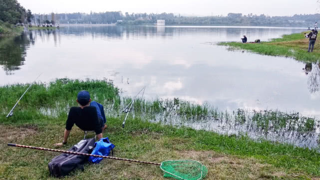 钓鱼的最高境界完整视频 (钓鱼人通病你中了几条)