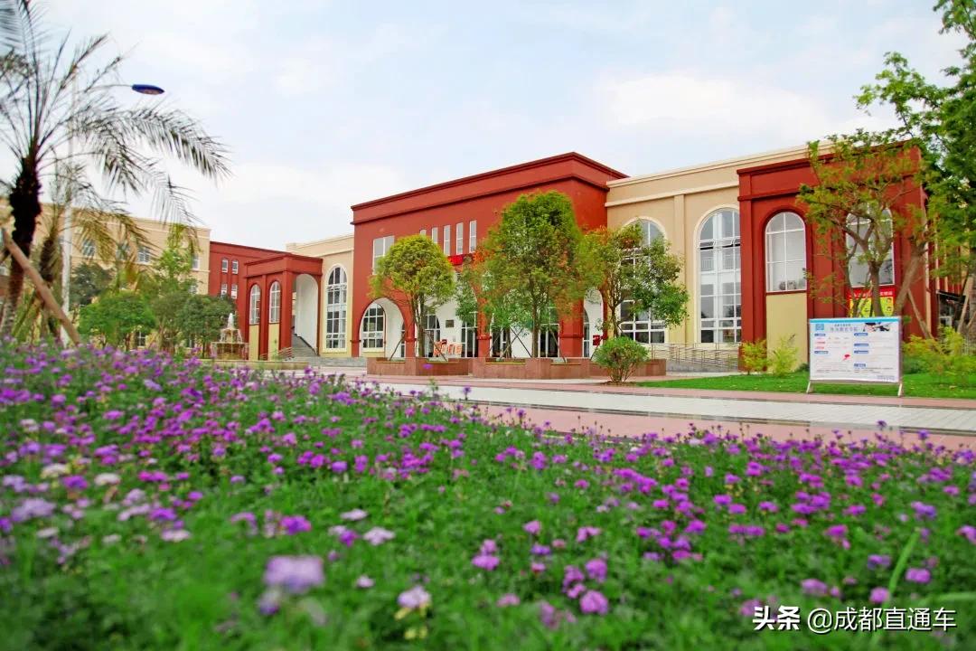 花开的季节合唱视频,花开的季节和你相遇