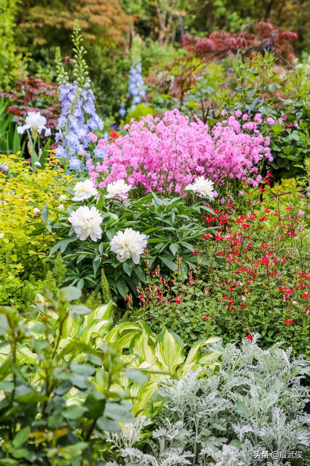 成都便宜的大花市,成都街边卖花一元一束