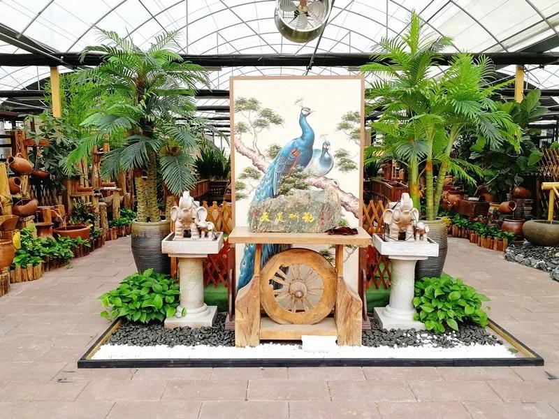 集美的郁金香花海,集美的花卉世界