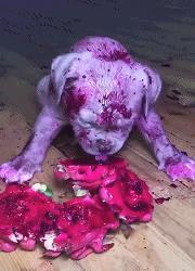 搞笑gif段子妹子你太皮了,搞笑gif段子妹子有点太淘气了