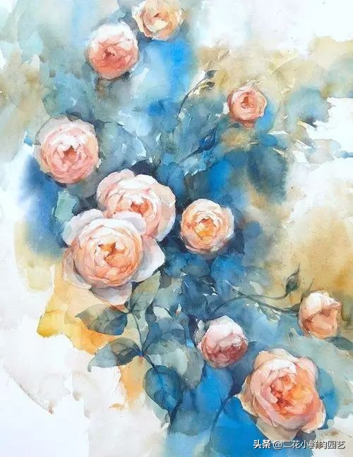 100种花卉绘画,100多张花卉线描手稿素材赶快收藏