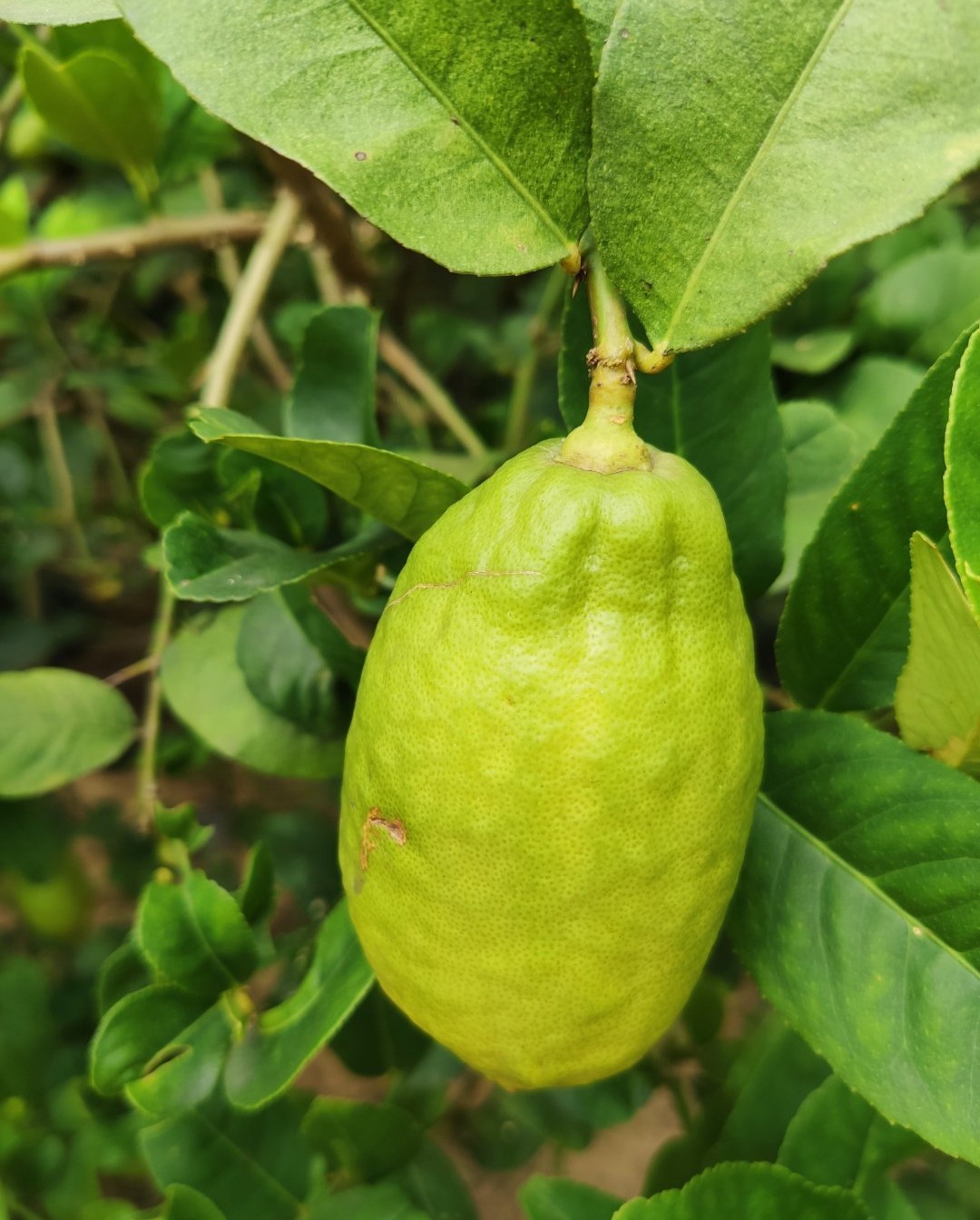 对待爱情，学会好好爱自己，比爱对方更值。