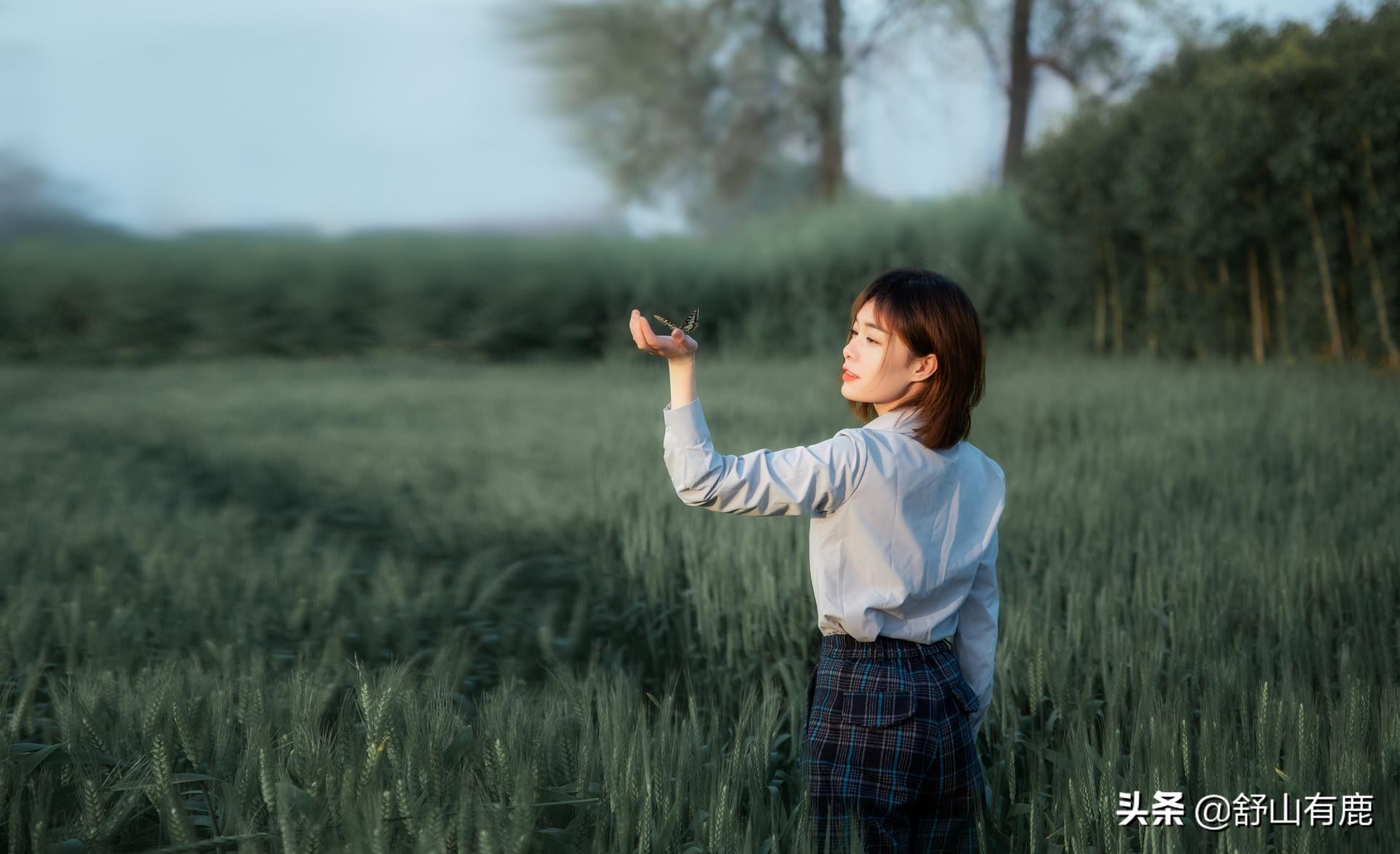 当你被人嘲笑看不起时你会怎样做,当你被人瞧不起的时候