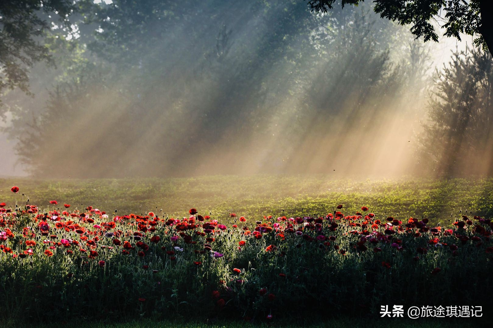 气势非凡的段家楼，中西合璧的建筑群，书写着一部煤矿兴亡史