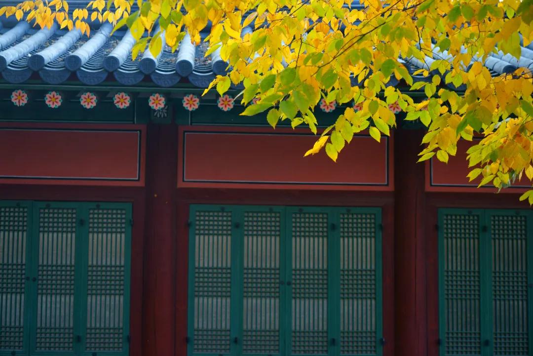 秋天十大绝美诗词名句,关于秋天的100句绝美诗词