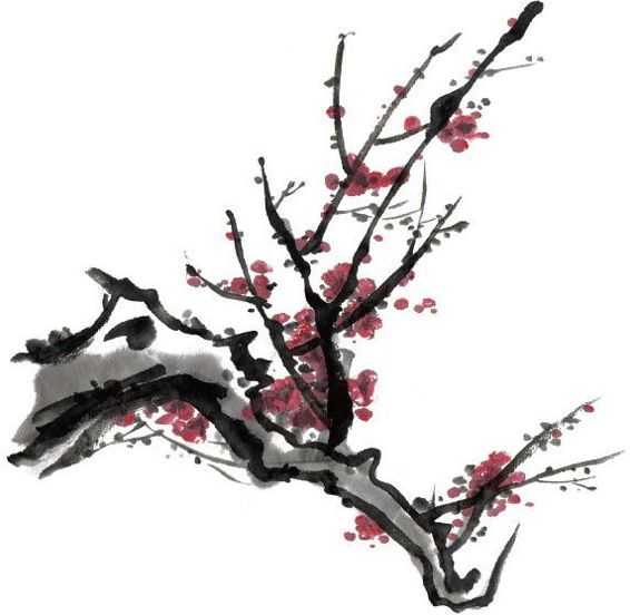 国画梅花上的雪画法步骤教程视频,零基础国画入门画梅花教程