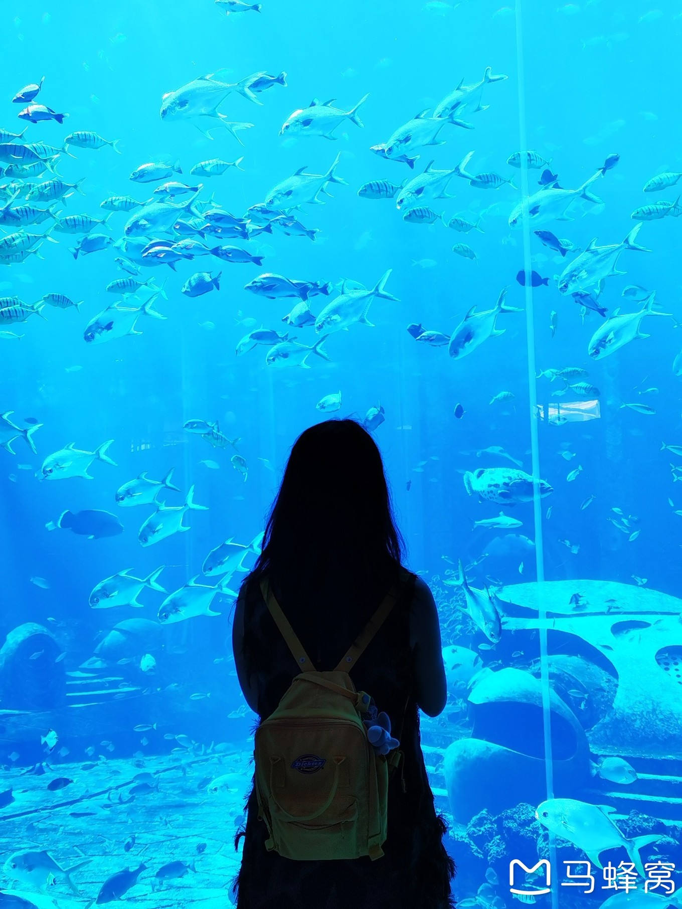 三亚夏天的海和冬天的海,三亚冬天如夏