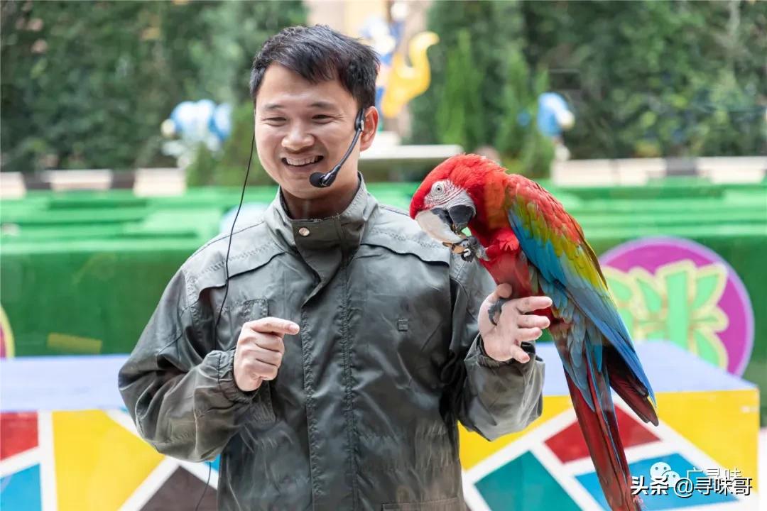 珠海长隆马戏主题酒店,珠海长隆王子公主