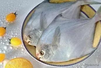 南澳渔民出海最常见的50种海鱼，都吃过，你就能退休了！