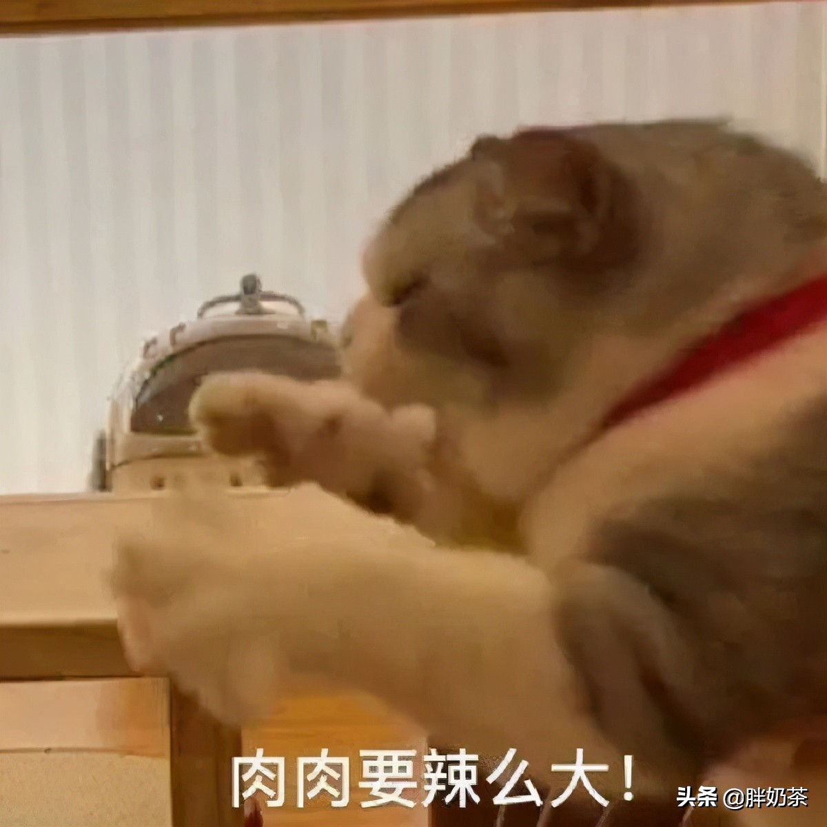 盘点哪些奇葩受伤经历,奇葩受伤