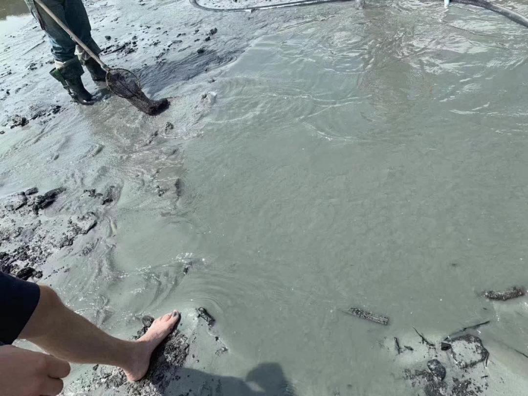 海边捡瓶子赚钱,国外捡蜜蜡