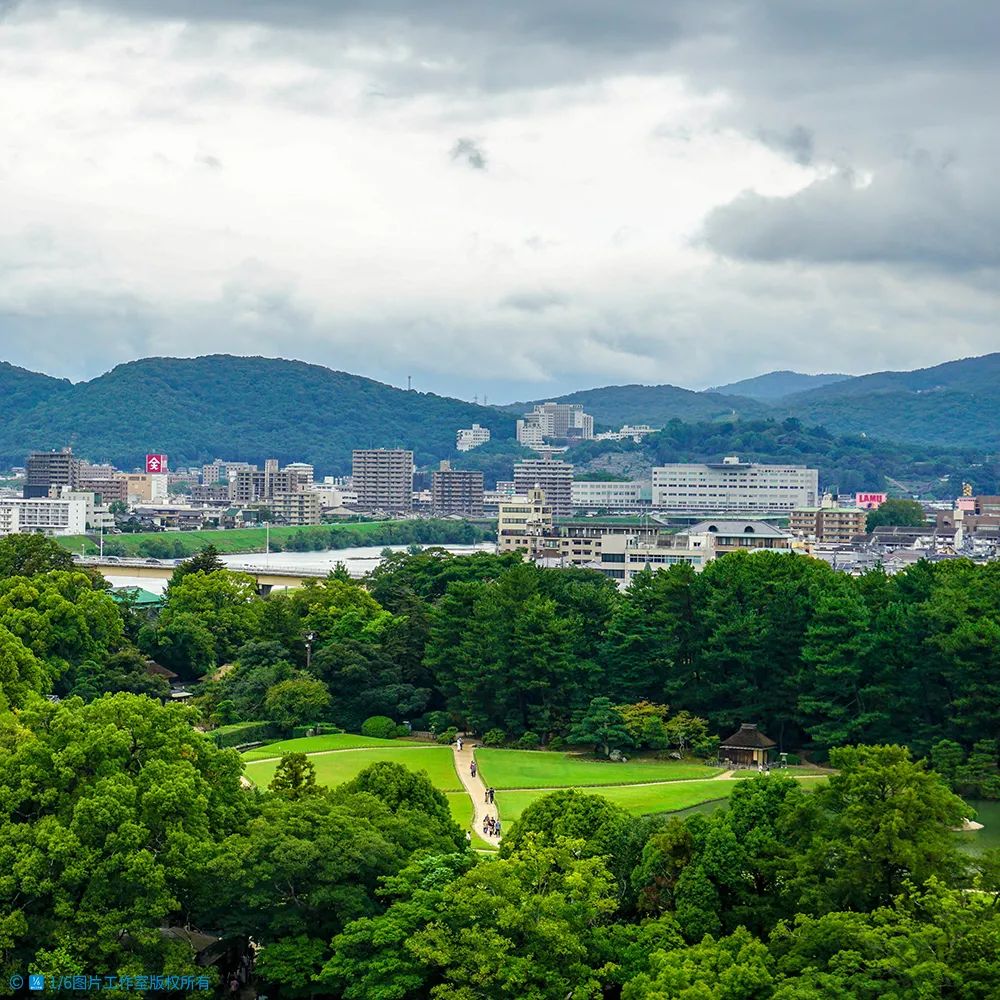 华高莱斯,华高莱斯武汉
