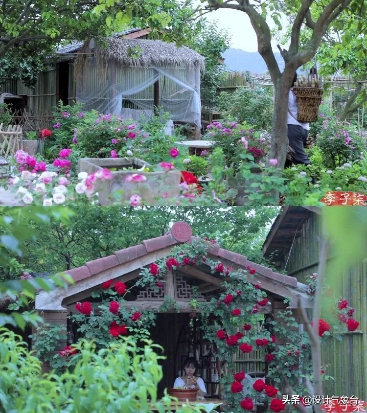 李子柒生活大揭秘,多少人羡慕李子柒的生活