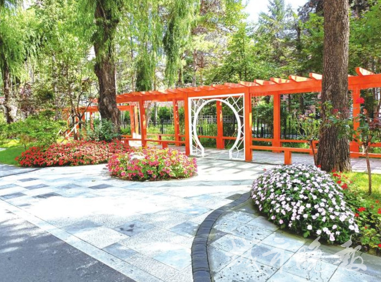 “谦园”静溢芳香吟！长春市一口袋公园吸引市民