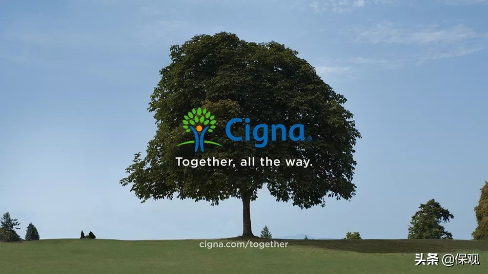 全球最大的保险公司是哪一家,全球九家大到不能倒的保险公司