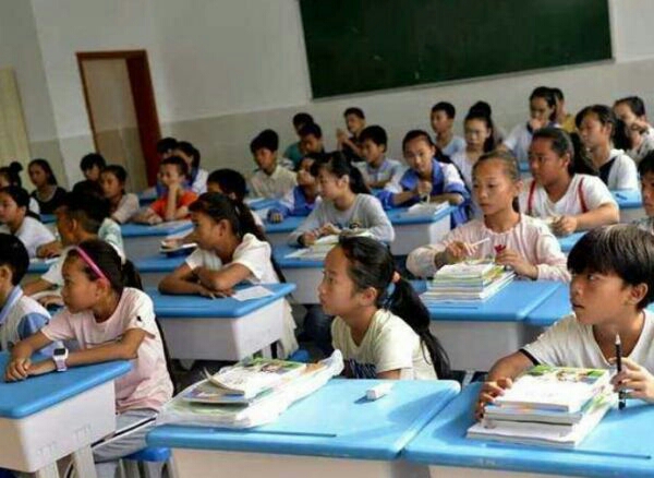 究竟该做鸡头还是做凤尾,要做鸡头还是要做凤尾